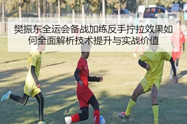 樊振东全运会备战加练反手拧拉效果如何全面解析技术提升与实战价值